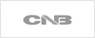 CNB Technology